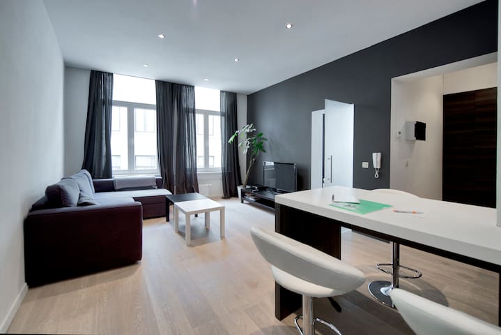 Modern flat in CENTRUM Antwerp+WIFI