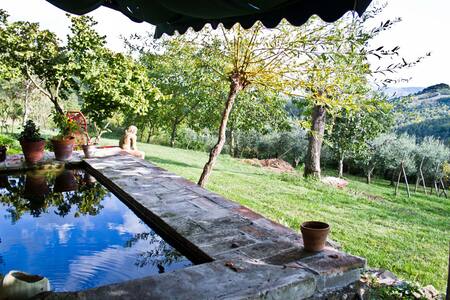 Il Sartino - Casa Iole