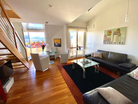 Nest über den Dächern der Stadt