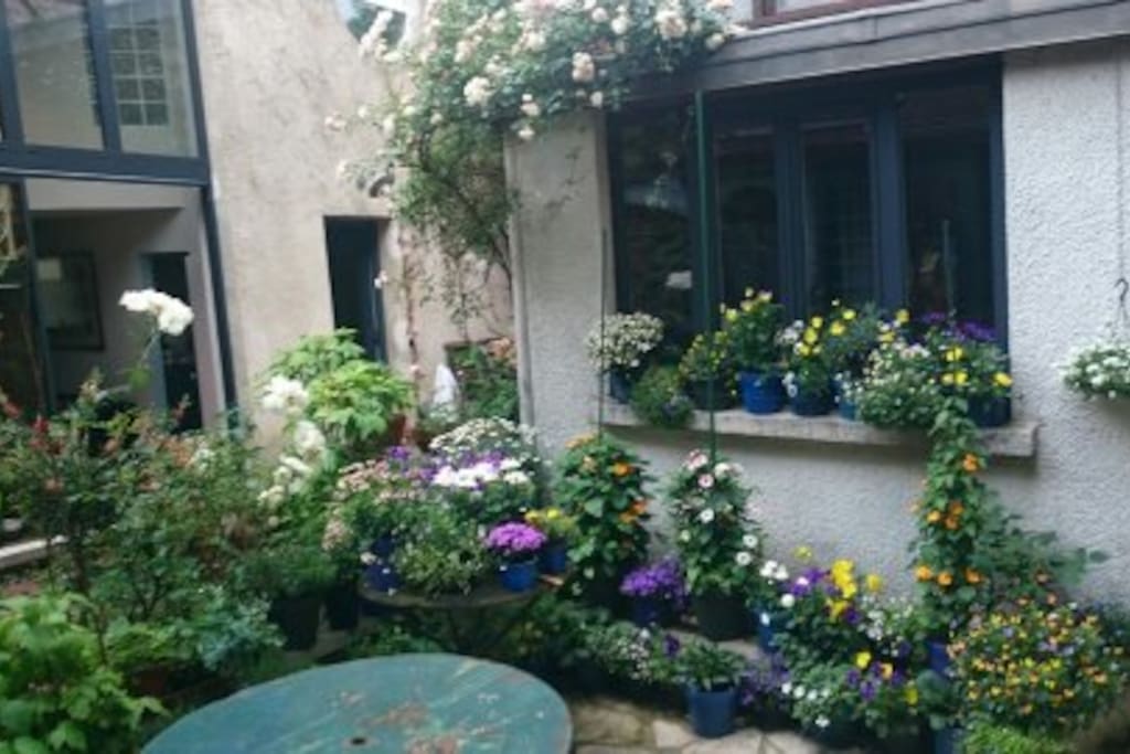 cour-jardin