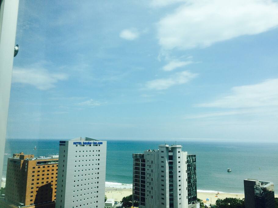 If you don't stay here, you will loss!! 이 뷰는 실화입니당♡