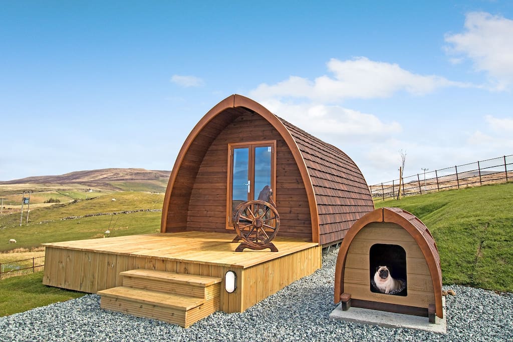 Two of the Pods have a little Dog Pod for your pet