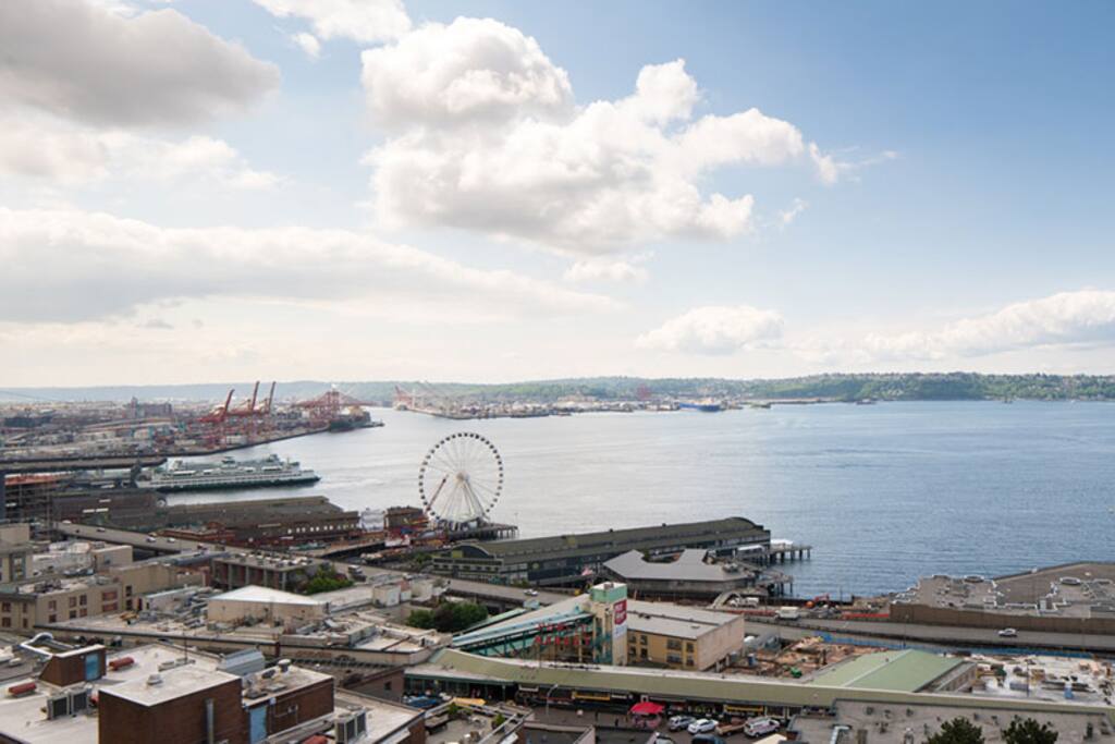 View from The NEST