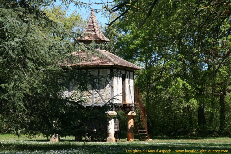 A traditional pigeon loft stands amidst lush greenery, showcasing its unique architectural features. The structure is raised on sturdy pillars, with a staircase leading to an inviting entrance. Surrounding trees add to the natural charm of this tranquil outdoor setting.