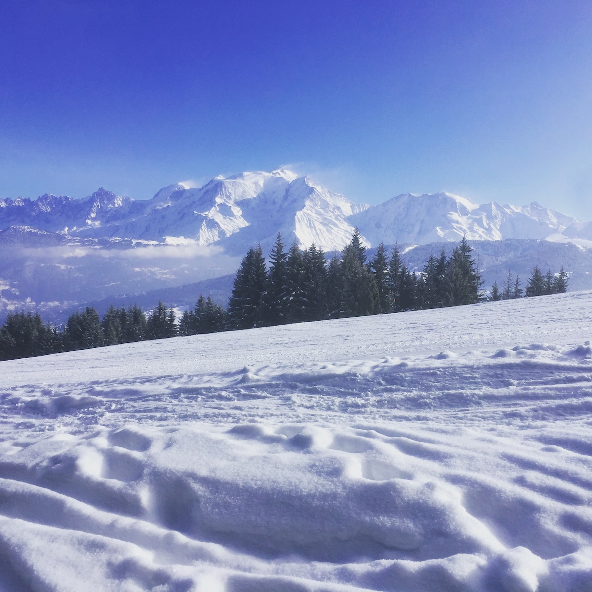 A serene winter landscape showcases a blanket of fresh snow covering the ground, with the majestic peaks of Mont Charvin and the Aravis mountain range in the background. Tall evergreen trees are visible, enhancing the natural beauty of the scene under a clear blue sky.