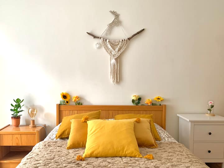 The "Soleil" room and its wonderers!