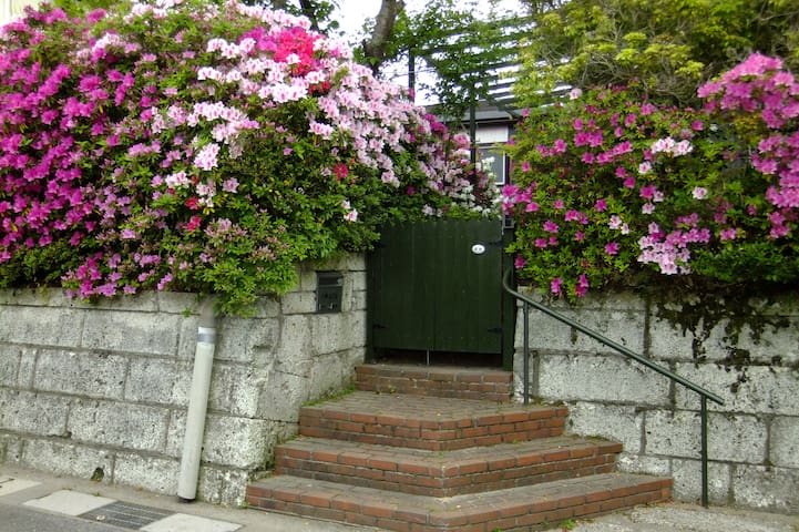 Azalea House on Mt.Hiei, Kyoto