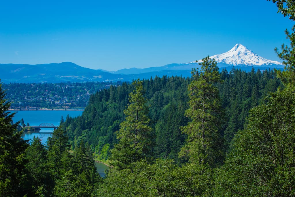 Columbia Scenic Retreat Houses for Rent in White Salmon