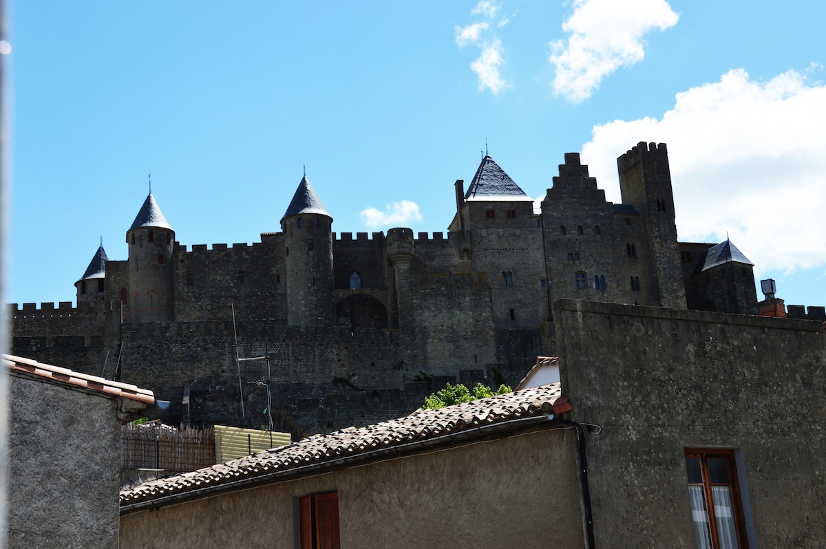 The medieval fortress is prominently displayed against a blue sky, characterized by its stone walls and distinctive towers. The surrounding buildings are partially visible, adding depth to the scene. The fortress features multiple turrets that enhance its historical charm.