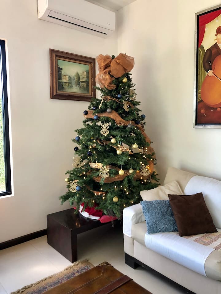 Božićni bor i kućni ukrasi dolaze u ovu blagdansku sezonu. 