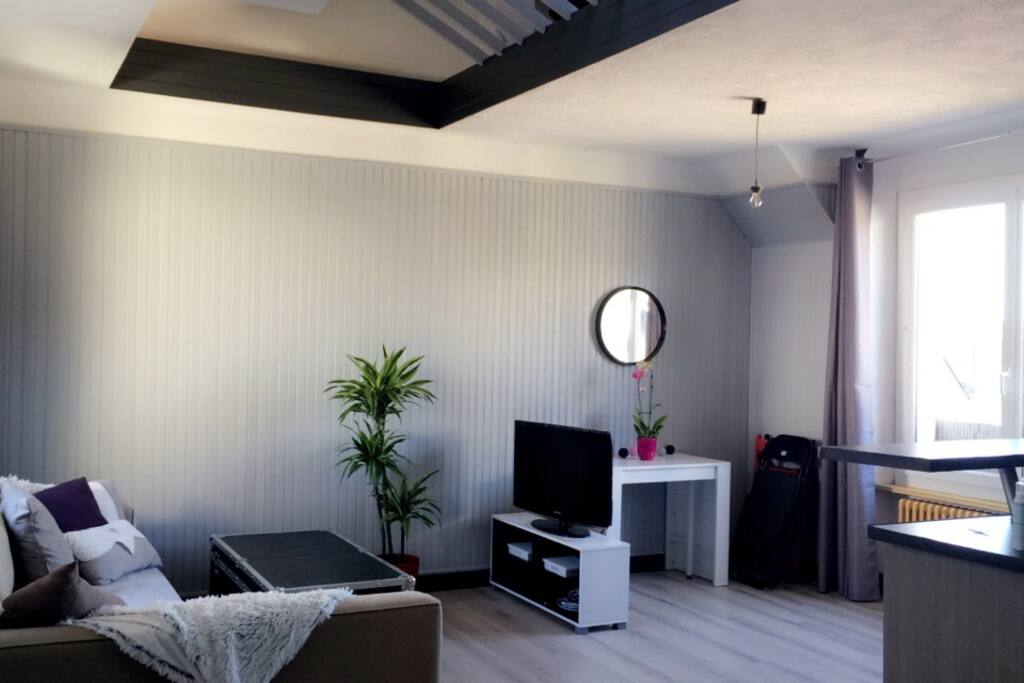 Grand séjour lumineux avec hauteur sous plafond