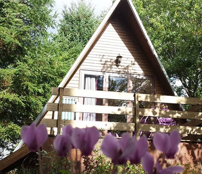 La cabane aux oiseaux