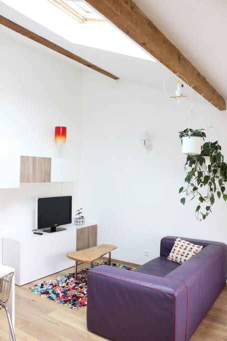 Salon lumineux avec velux