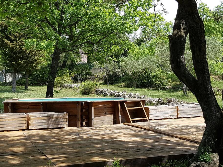 Espace piscine privé au milieu des oliviers et chênes verts.