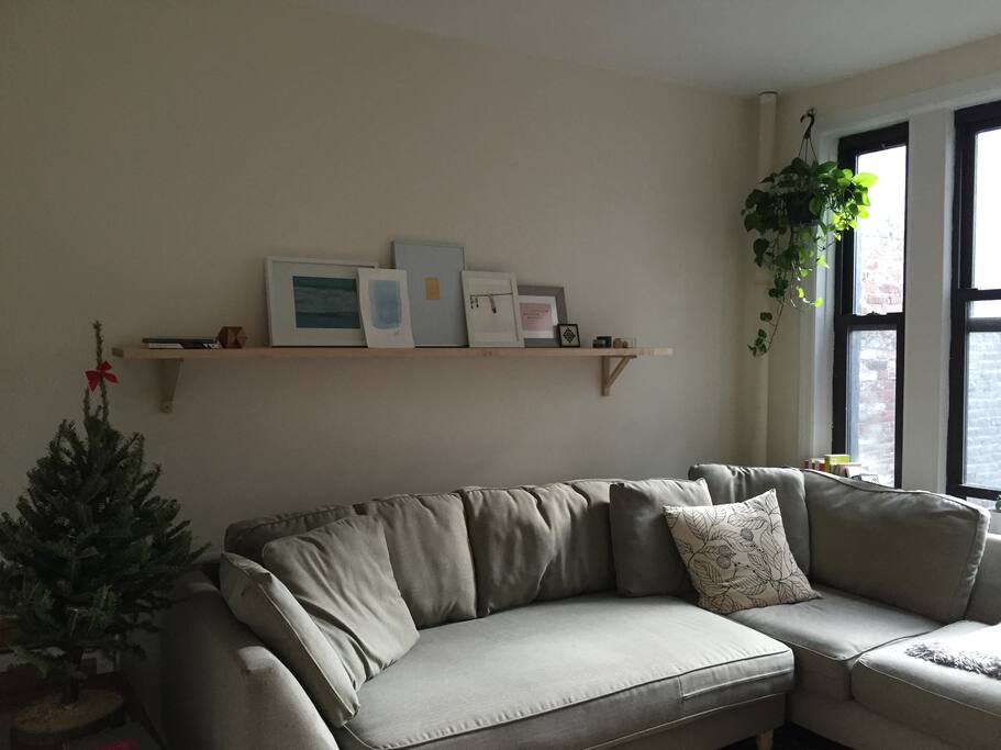 lots of natural light, very comfy couch