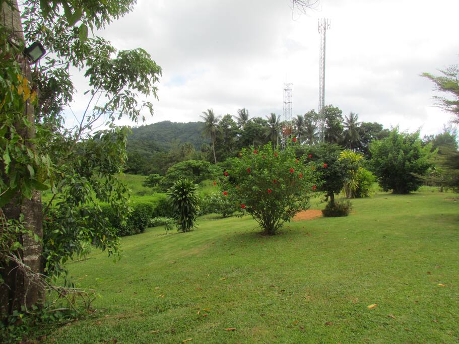 View across the meadow to the mountain