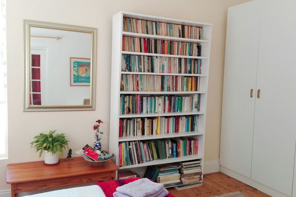 Books and cupboard space in main bedroom