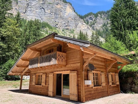 4-bed chalet: hot tub, views, easy ski/bike access
