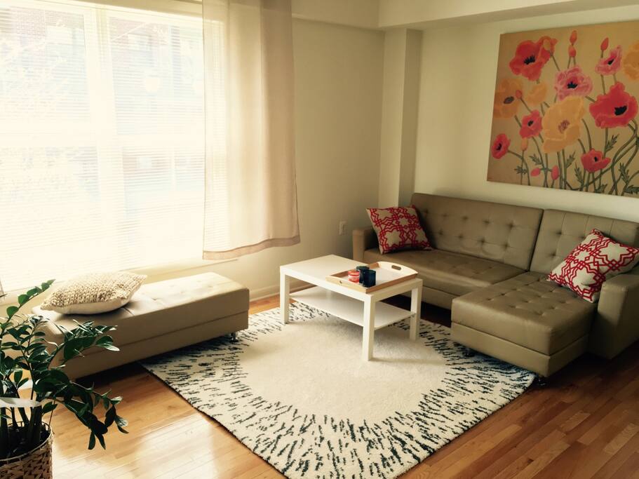 Cozy and sunny living room