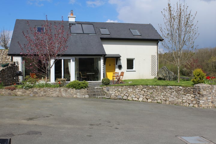 House by the River Barrow - Borris Co Kilkenny