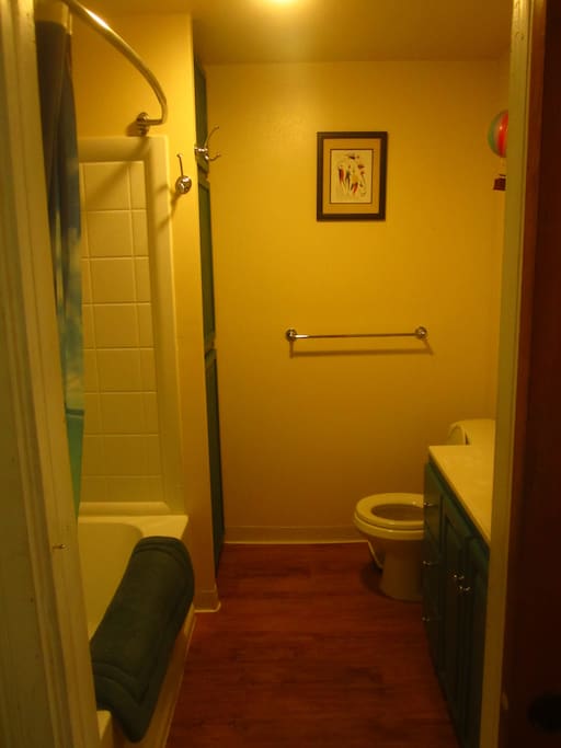 bathroom / shared
