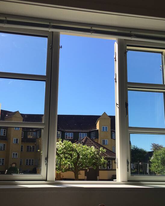 Bedroom view