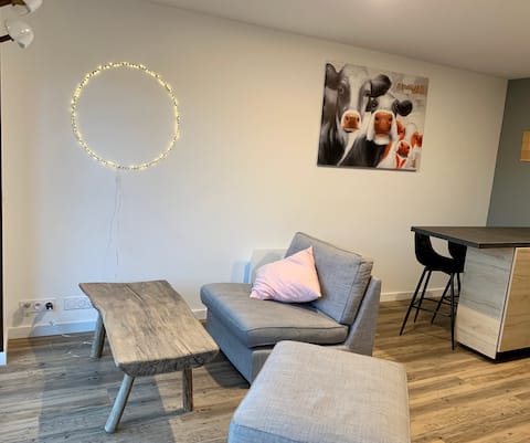 Popular Airbnb listing: Luxury apartment + panoramic view + SPA, Close to Les Gets in Taninges