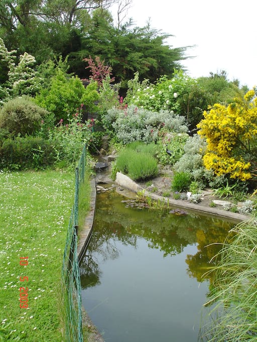 coin bassin dans jardin