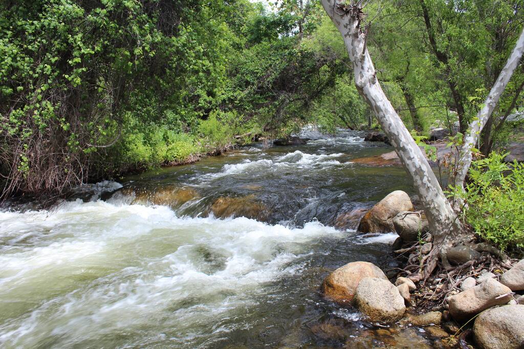 The River!!