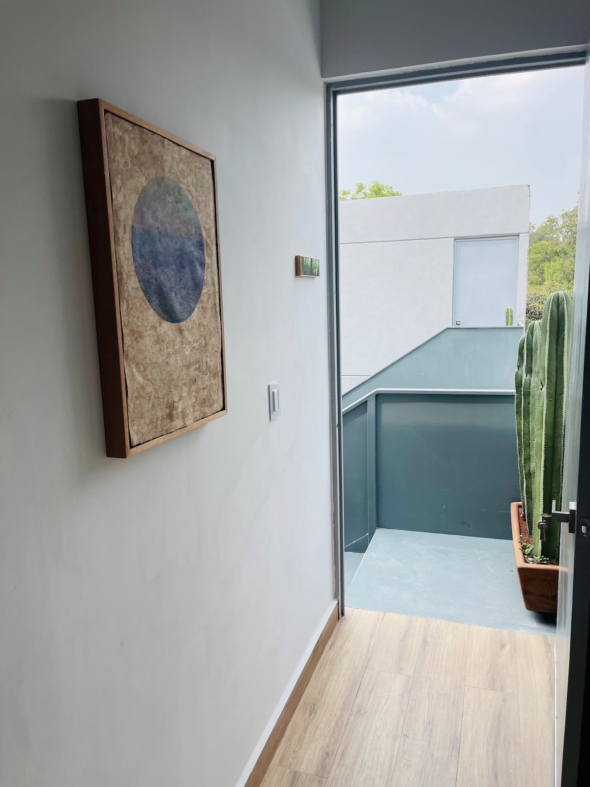 A light-filled hallway leads to an outdoor terrace, featuring a large window and a tall cactus in a planter. A piece of abstract art hangs on the wall, adding a touch of creativity to the clean, modern design.