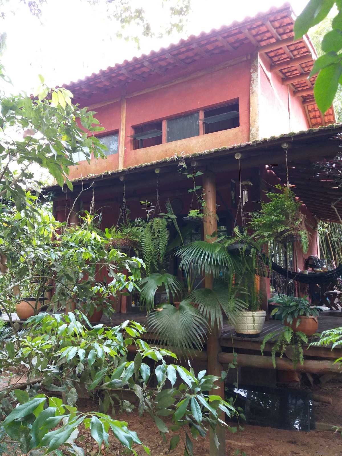 The bungalow is surrounded by lush greenery, showcasing vibrant plants and ferns. A wooden deck extends from the house, which features two levels and large windows. The terracotta exterior creates a warm contrast with the surrounding foliage.