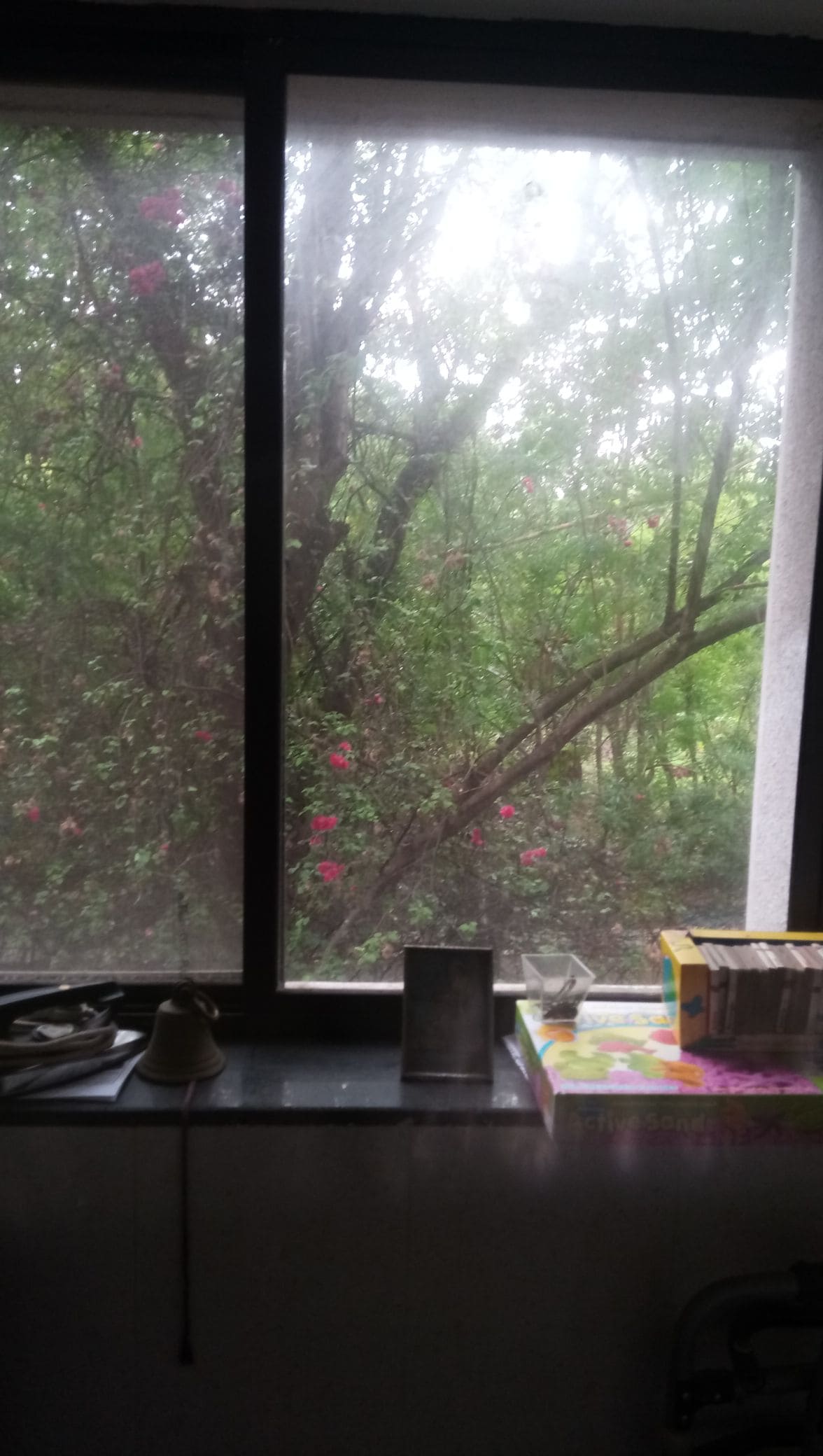 поглед од спалната соба