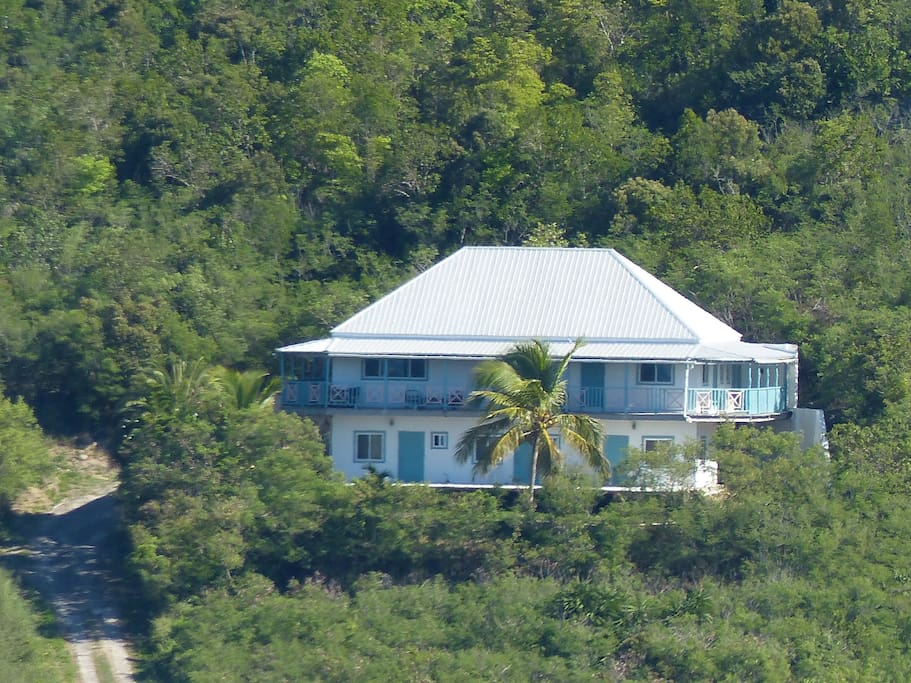 nestled in a sea of greenery, private, but within a minute walk to all the fun on the bay