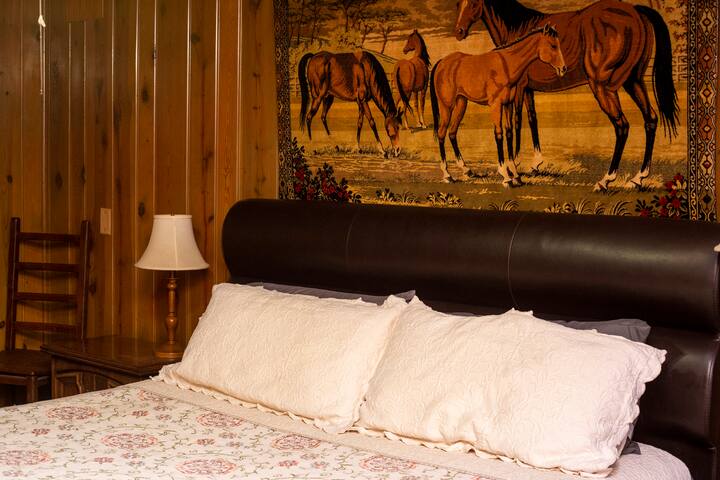 Panther Valley Ranch managed Airbnb listing 3