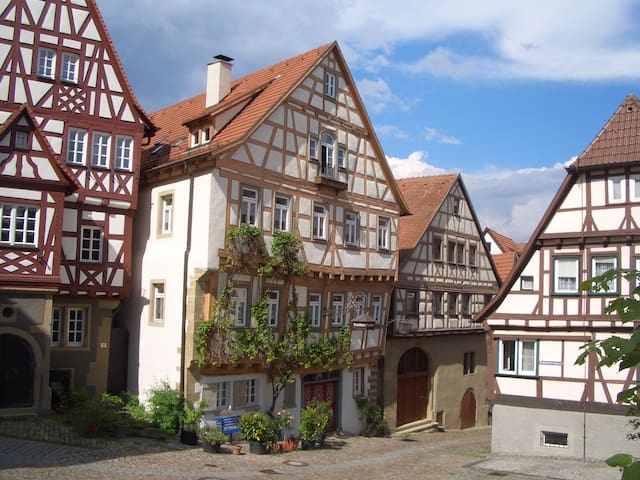 Airbnb Gundelsheim Ferienwohnungen Unterkunfte Baden