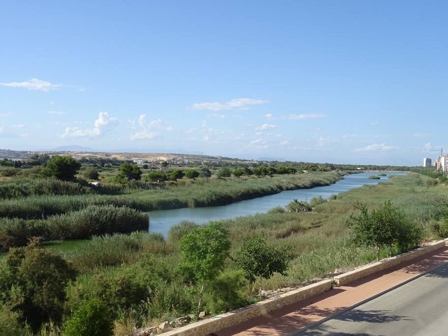 Vistas desde el balcón