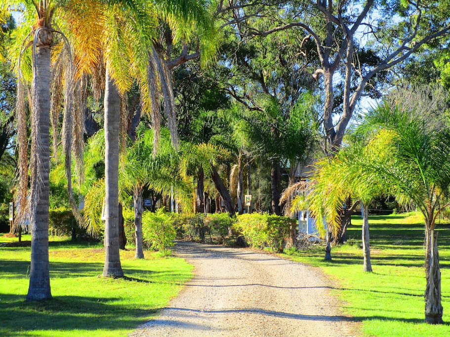 driveway
