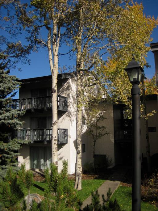Entry into the building