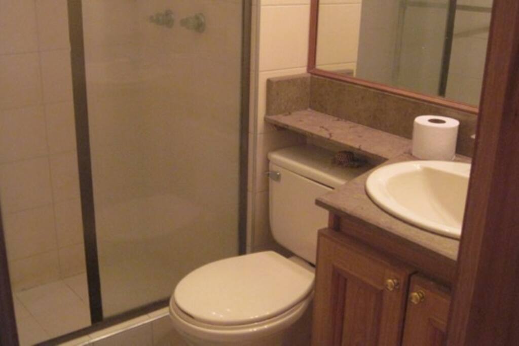Guest bathroom