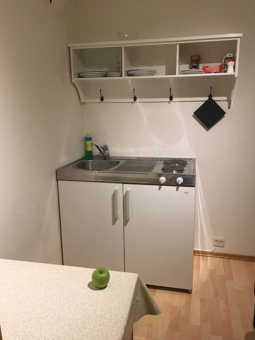 Room no 1: Mini Kitchen with fridge, two hotplates and ordinary kitchenware. You can cook your own meals here.
