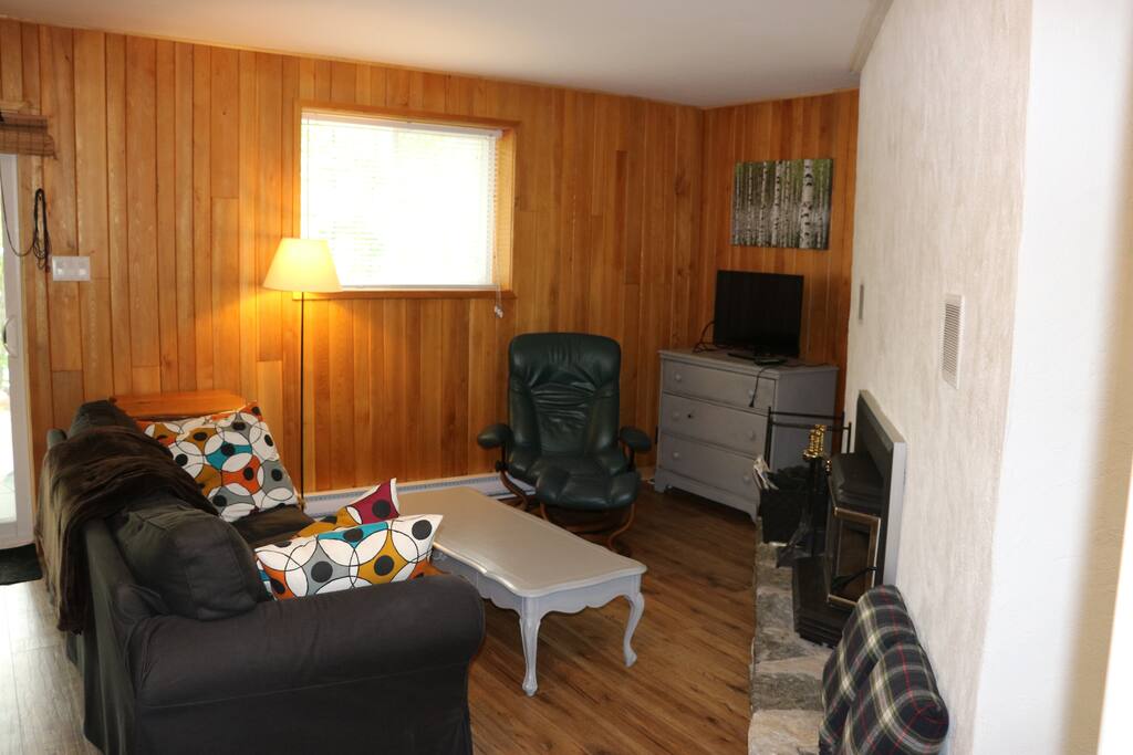 Living room with fireplace