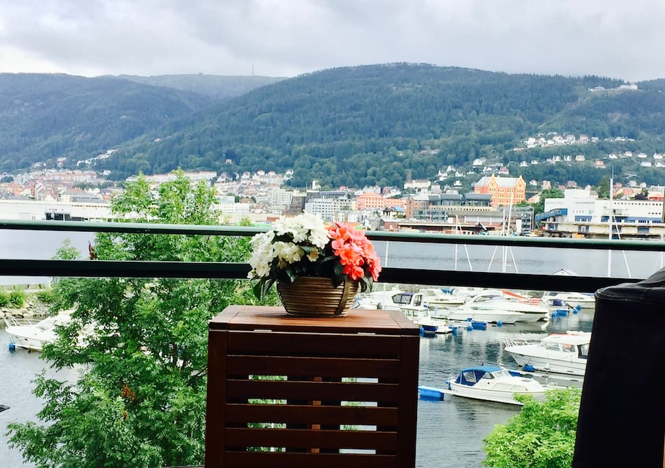 Breakfast view