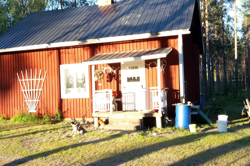 Front of the house - Evening Sun