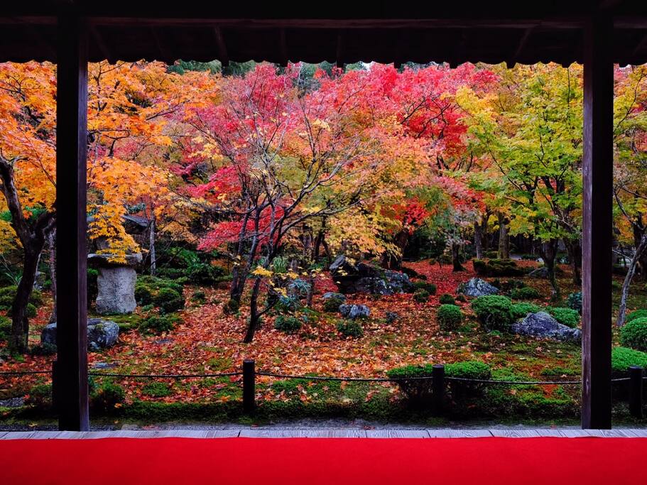 圆光寺里的红叶狩 十牛之庭的禅宗心路 京都旅游攻略 尽在airbnb爱彼迎