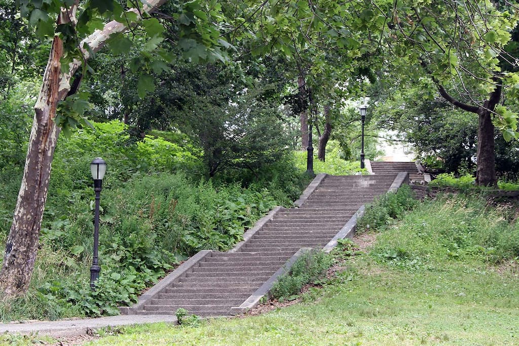 Claremont Park on our Street