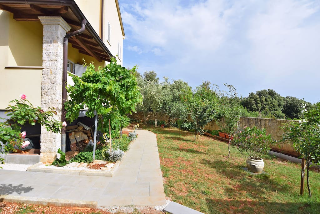 garden - back yard
