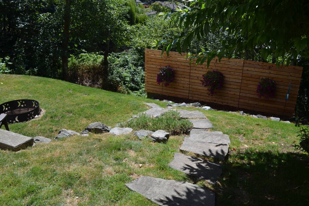 Backyard view