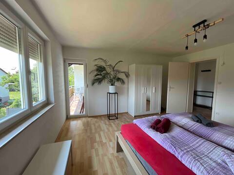 Spacious sunny apartment with balcony