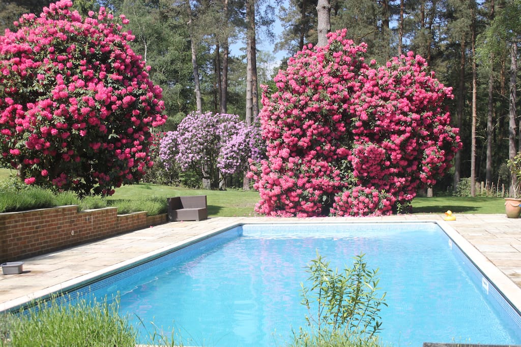 Heated swimming pool