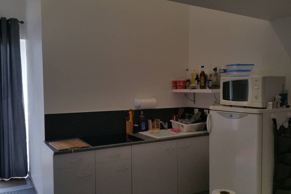 Cuisine équipée d'un frigo, micro-onde, plaque de cuisson, et cafetière.